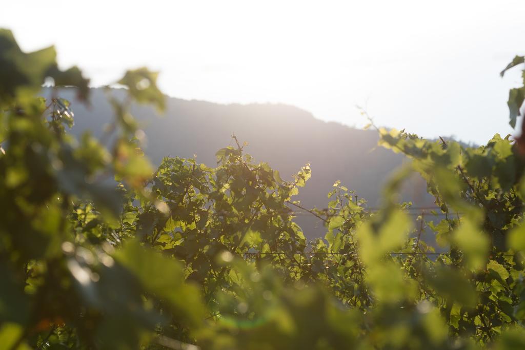 Cascina Clarabella Villa Iseo Exteriör bild